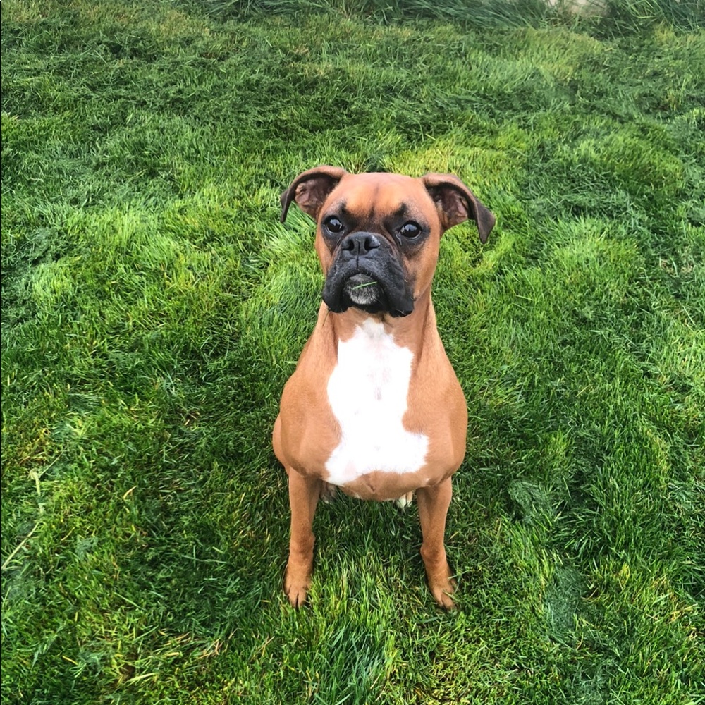 Meet your Posher, Lexi